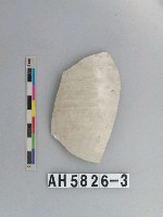 藏品(安平壺腹片)的圖片